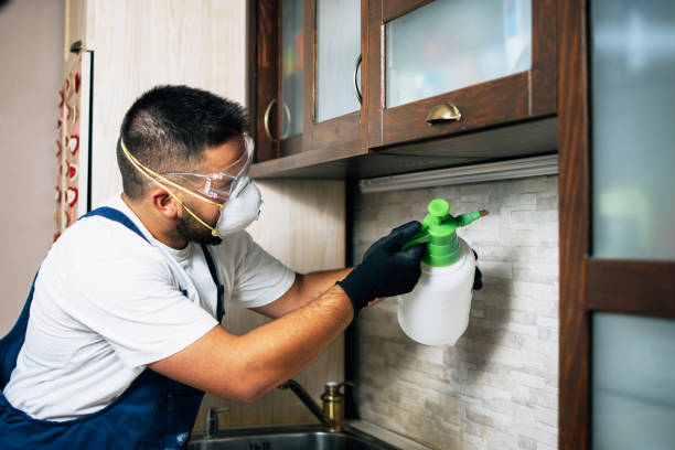 Best Pest Control Near Me  in Marist College, NY