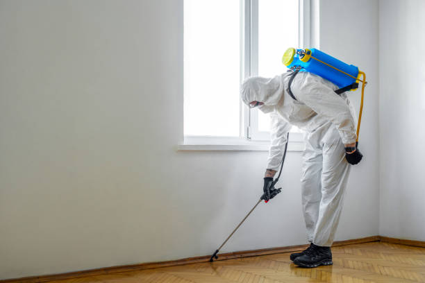 Professional Pest Control in Marist College, NY
