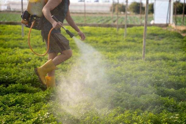 Best Commercial Pest Control Services  in Marist College, NY