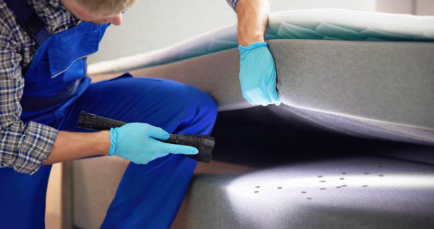 Best Exterminator Services  in Marist College, NY