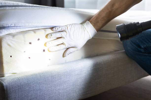 Best Emergency Pest Control  in Marist College, NY