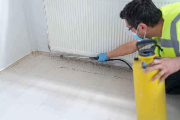 Best Best Pest Control Companies  in Marist College, NY